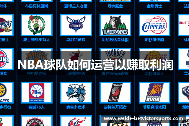 NBA球队如何运营以赚取利润