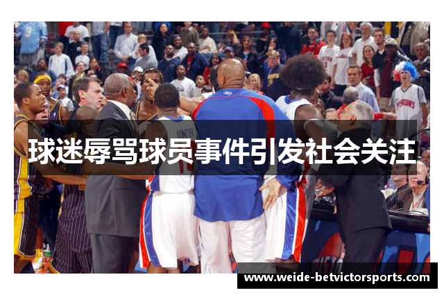 球迷辱骂球员事件引发社会关注