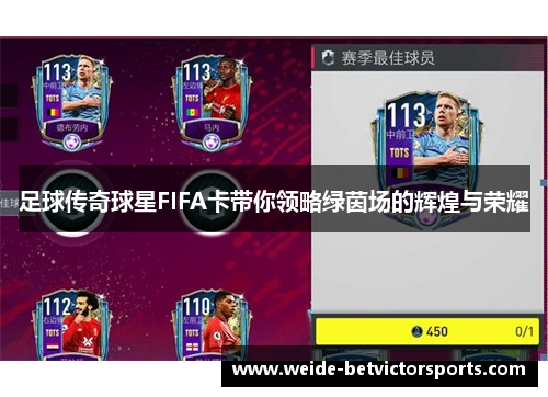 足球传奇球星FIFA卡带你领略绿茵场的辉煌与荣耀